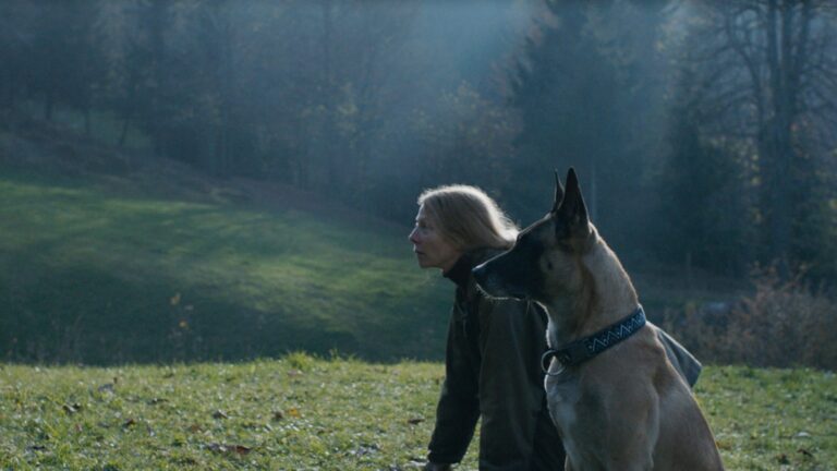 The Animal Remains Short VIFF-2026-1