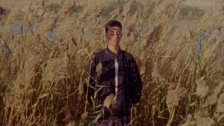 Between Us and the World Short VIFF-2026-5